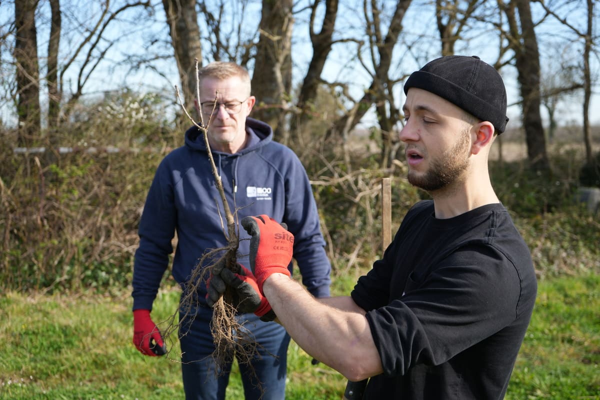 RSE « Plantation » illiCO travaux avec MyTree 