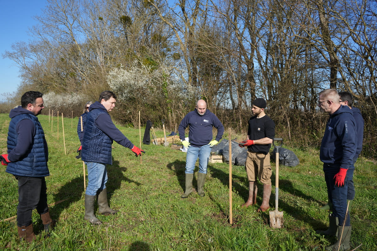 RSE « Plantation » illiCO travaux avec MyTree