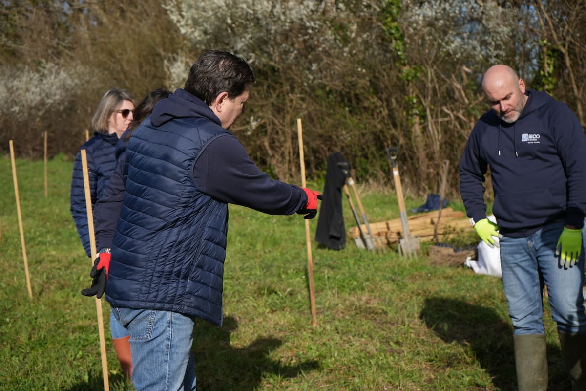RSE « Plantation » illiCO travaux avec MyTree 