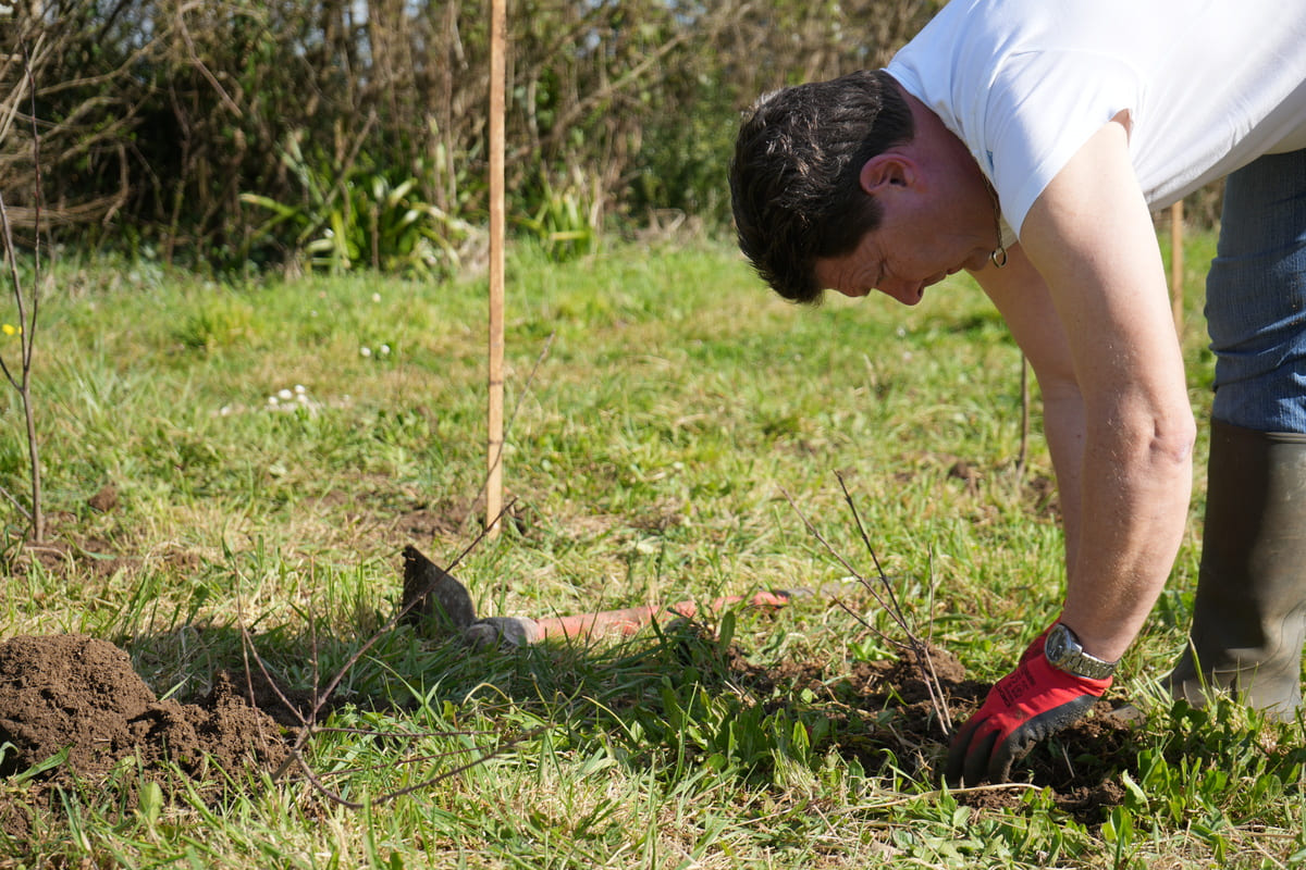 RSE « Plantation » illiCO travaux avec MyTree