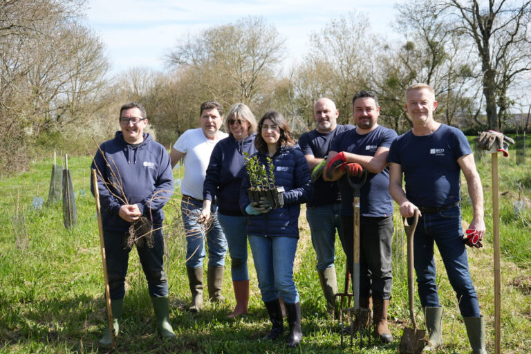 Une journée de plantation avec MyTree
